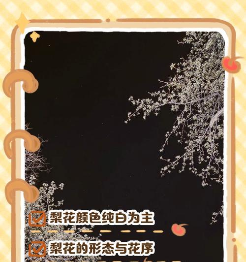 梨花的花语与美丽传说（探寻梨花背后的浪漫与寓意）