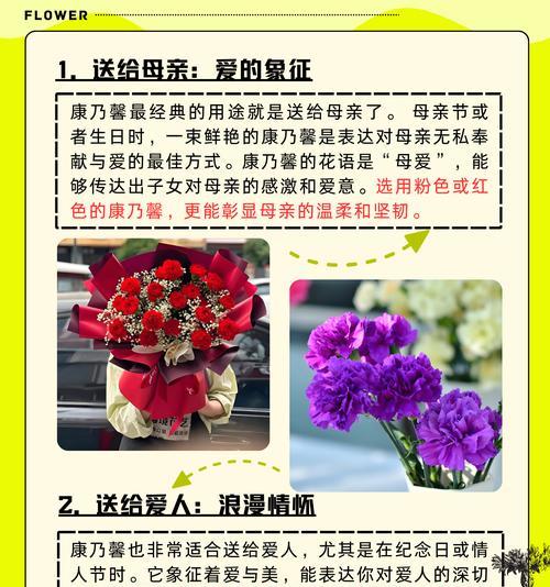 康乃馨花的象征意义（深情表达的代表）
