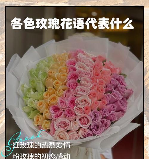 玫瑰花语之花开寓意（探究不同颜色的玫瑰花所代表的含义与祝福）