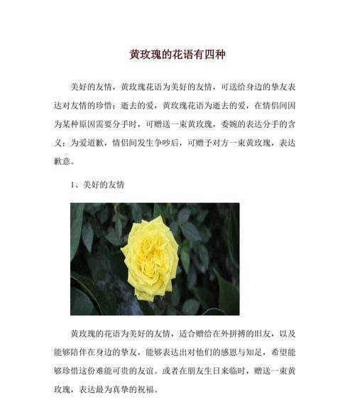 玫瑰花语之花开寓意（探究不同颜色的玫瑰花所代表的含义与祝福）