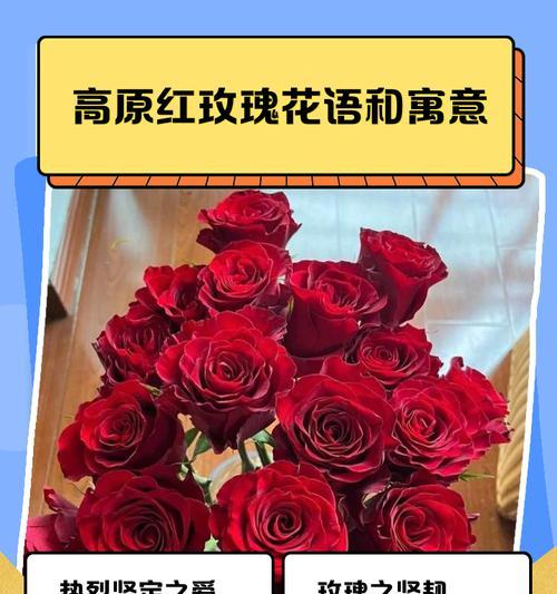 19朵红玫瑰的花语含义（传递爱意的19朵红玫瑰，向TA表达真挚情感）