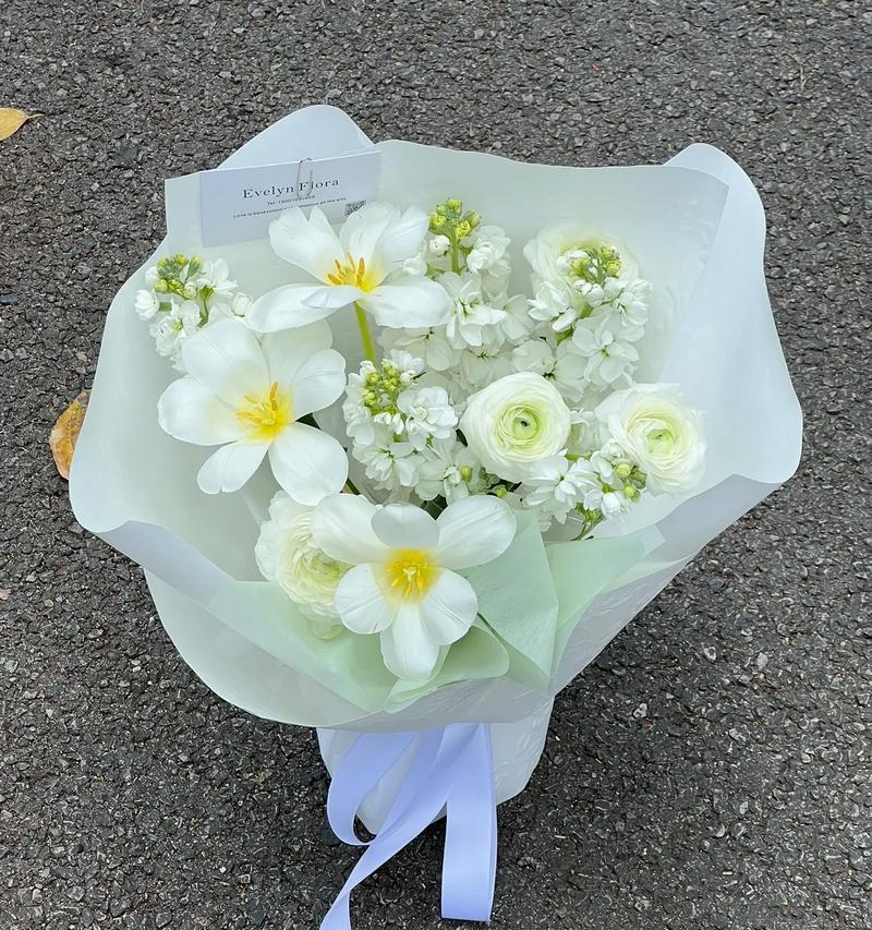 紫罗兰花语的含义与象征（探索紫罗兰的花语及其对人生的启示）
