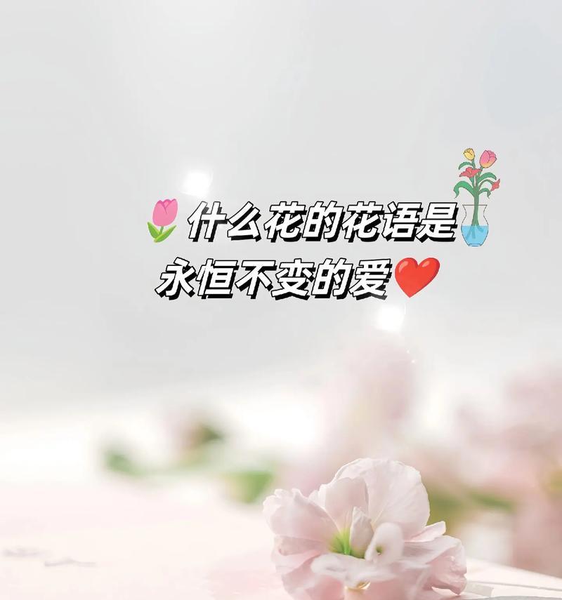 红玫瑰花语（红玫瑰花语的深意与诠释）