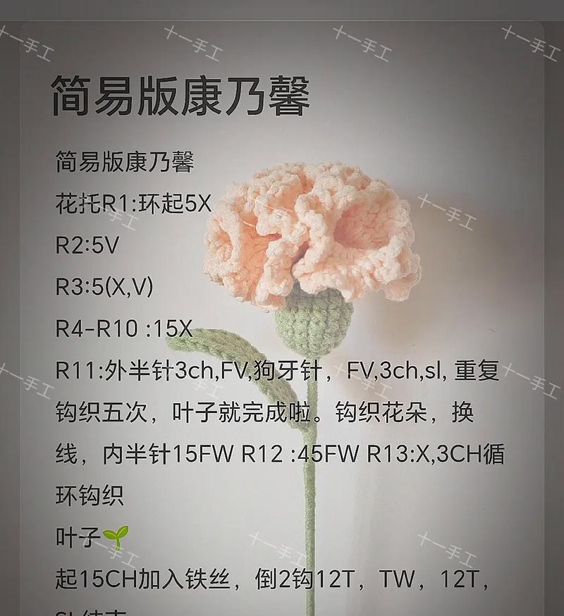 白康乃馨的花语——纯洁与祝福（祝愿幸福与美好，康乃馨轻启人生之门）