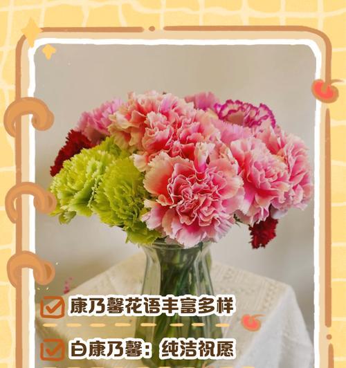 白康乃馨的花语——纯洁与祝福（祝愿幸福与美好，康乃馨轻启人生之门）