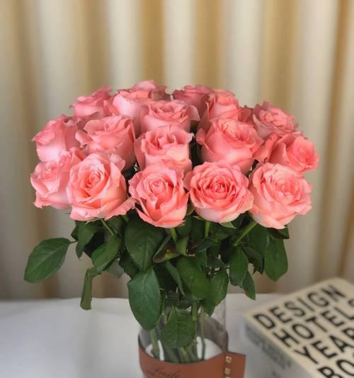 戴安娜玫瑰的花语（探索戴安娜玫瑰花语的深层含义，赋予生活更多的浪漫和感动）