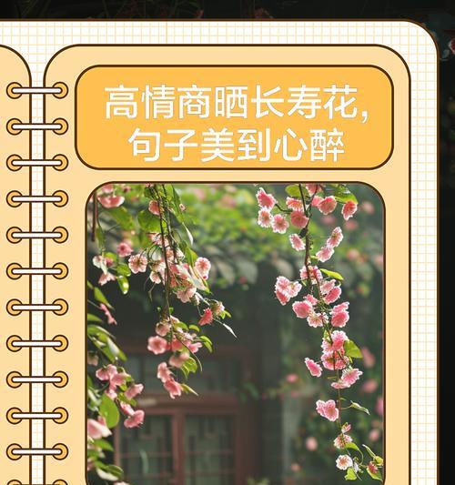 永恒陪伴的花语-百合（以百合花语表达陪伴一生的情感）