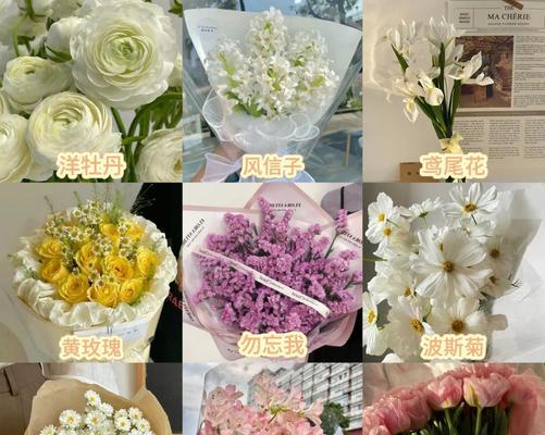 十种代表友情的花（探索友情的芬芳世界）
