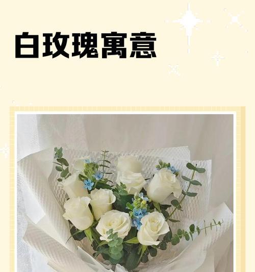 白玫瑰的花语与寓意（探寻白玫瑰的深层寓意，为你解读纯洁与祝福的花语之语）