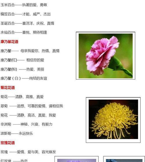 紫色丁香花的花语及其传达的内涵（丁香花语）