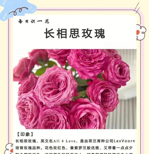 曼珠沙华（悲情女神的故事与花语解读）
