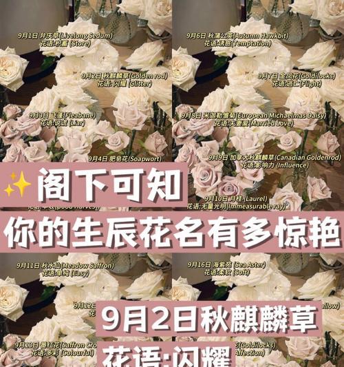 紫玫瑰的真正花语（解析紫玫瑰的意义与象征）