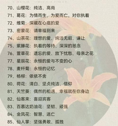 紫玫瑰的真正花语（解析紫玫瑰的意义与象征）