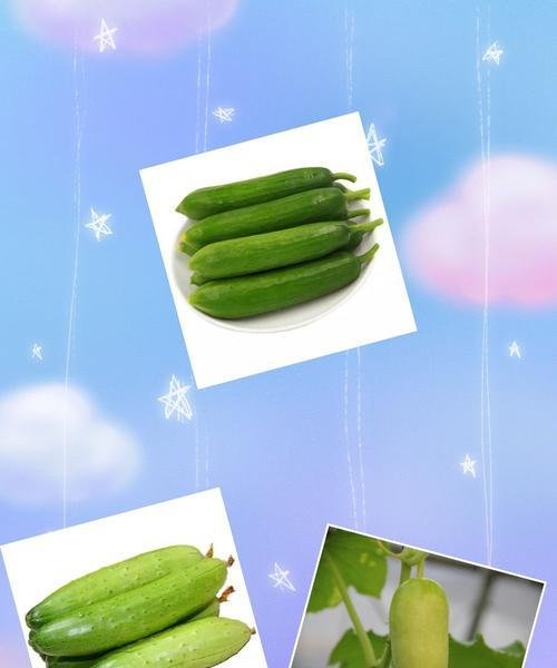 黄瓜生吃与熟吃哪个更健康？营养差异大揭秘？