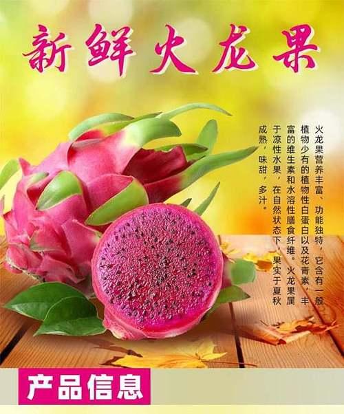 火龙果套种什么作物最好？套种技术要点有哪些？