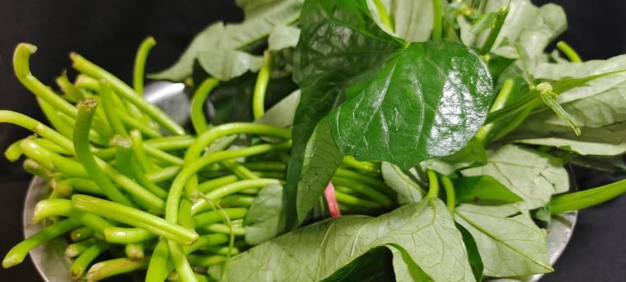 南瓜尖的功效与作用是什么？如何利用南瓜尖进行健康饮食？