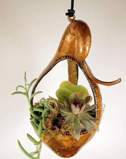 葫芦种植在花盆里可行吗？需要注意哪些事项？