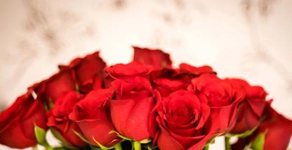 卡布奇诺玫瑰的花语与意义（解读卡布奇诺玫瑰的象征和情感寓意）