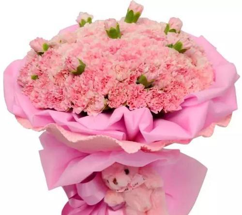 康乃馨的象征与意义——爱与坚强(用康乃馨传达的力量和情感) 康乃馨的象征与意义——爱与坚强(用康乃馨传达的力量和情感)