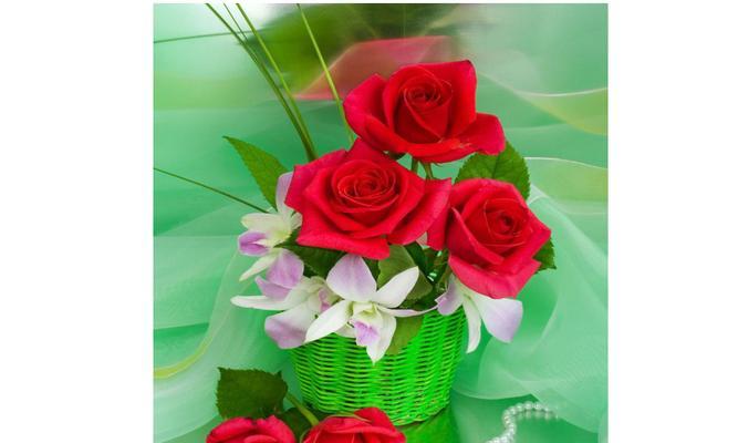 绿色玫瑰花语与其寓意（生命与新的开始）