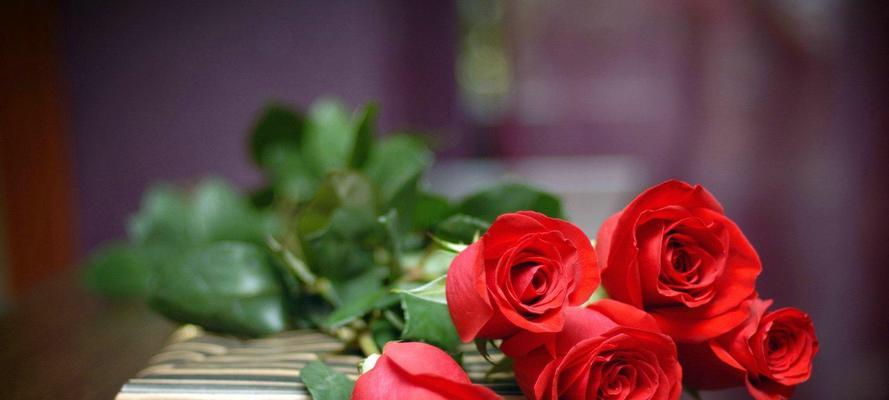 绿色玫瑰花语与其寓意（生命与新的开始）