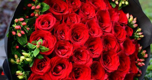 玫瑰花的寓意与花语意义（以玫瑰为主角）