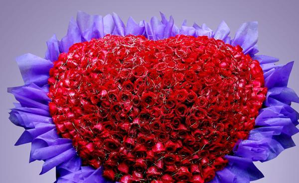 26朵玫瑰的花语（用26朵玫瑰传递深情厚意）