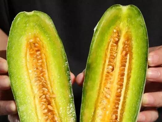 羊角蜜打顶的最佳时间是什么时候？具体步骤有哪些？
