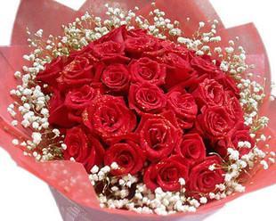 三十三朵玫瑰的象征意义（花海中的秘密之语）