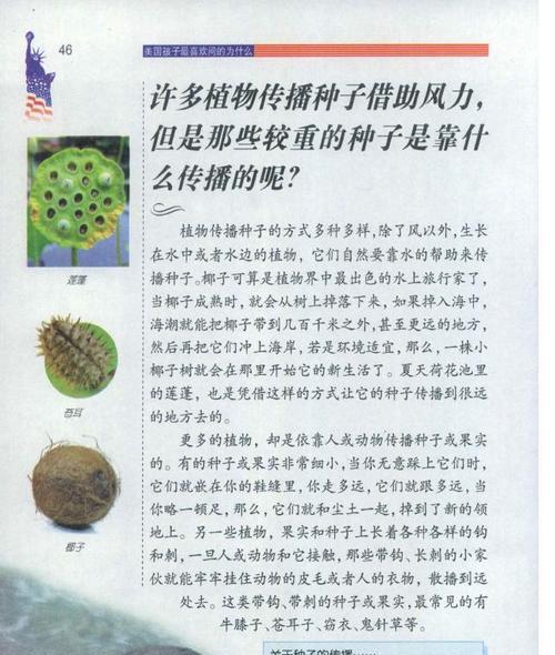 梧桐树种子存在吗？它们是如何传播的？
