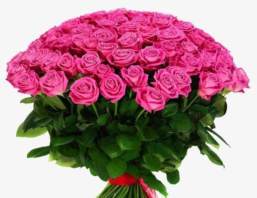 七朵玫瑰（玫瑰的七朵花）