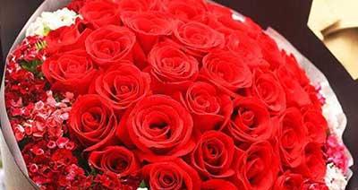 粉色玫瑰花语的魅力与意义（探索粉色玫瑰背后的情感纽带）