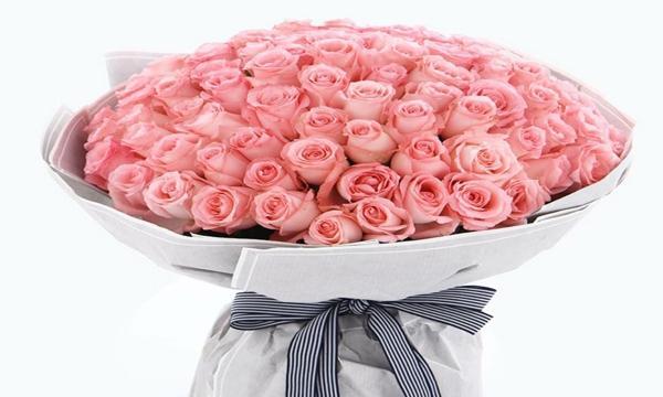 一朵粉玫瑰的象征意义与传递情感之美（探寻粉玫瑰的浪漫之谜）