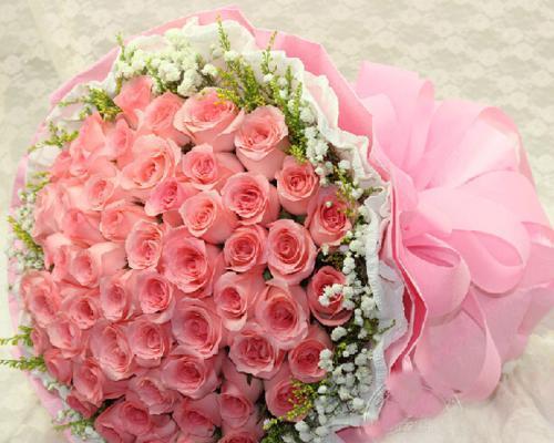 一朵粉玫瑰的象征意义与传递情感之美（探寻粉玫瑰的浪漫之谜）