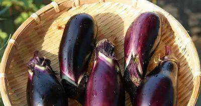 茄子是碳水化合物吗？了解茄子的营养成分和健康益处