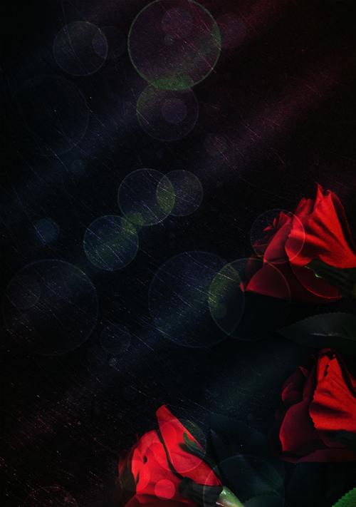 黑色玫瑰的花语（探寻黑色玫瑰的花语之谜）