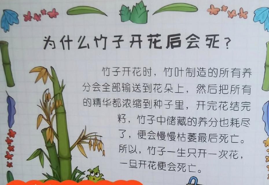 木槿花种植的最佳时间是什么时候？如何正确栽种？