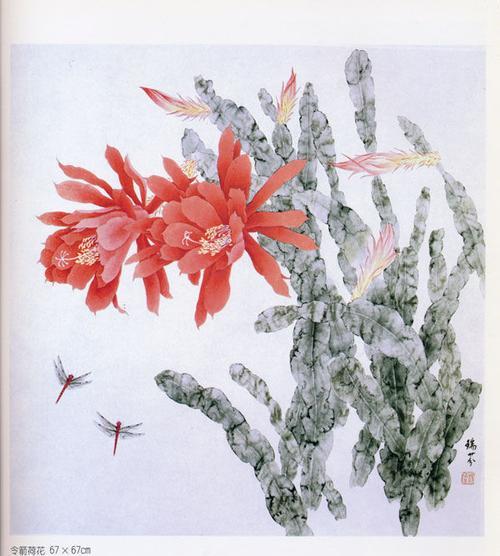 令箭荷花（当今社会中的令箭荷花魅力与象征意义）