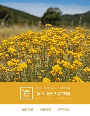 黄色蜡菊花语——传递温暖与友谊（蜡菊花语的意义及鲜花的送礼指南）