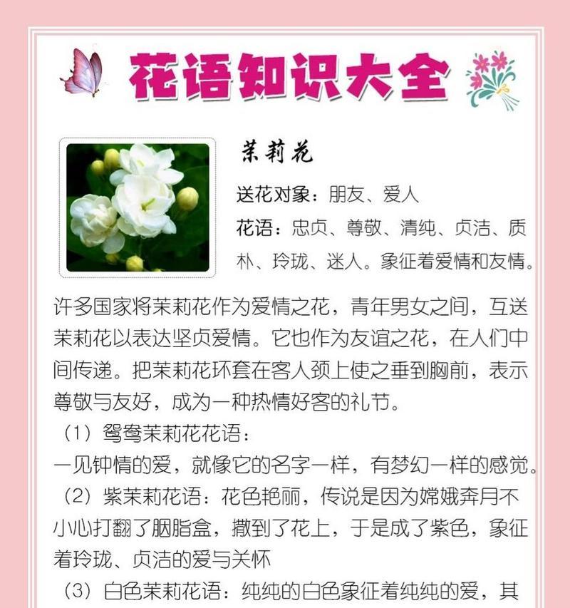 以粉掌的花语与意义（揭秘以粉掌为主角的花语密码）