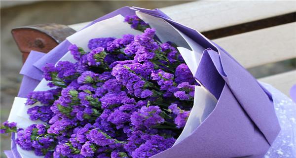 勿忘我花的象征意义和启示（探索勿忘我花背后的深意）