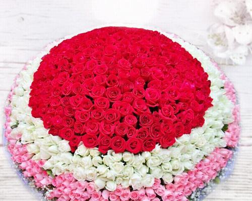 以送9朵玫瑰是什么意思（探寻“九朵玫瑰”在不同文化中的象征意义）