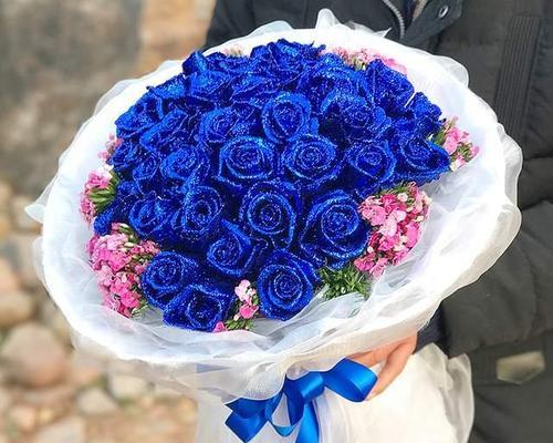 各色玫瑰花的寓意与花语（探索玫瑰花世界）