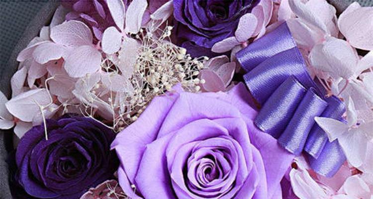 紫色玫瑰花的象征意义及其魅力（探索紫色玫瑰花背后的深层意义）