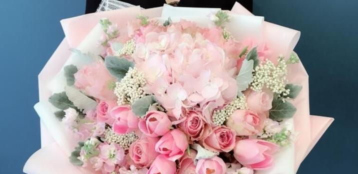 粉色玫瑰花的美丽寓意（探索粉色玫瑰花的象征意义）