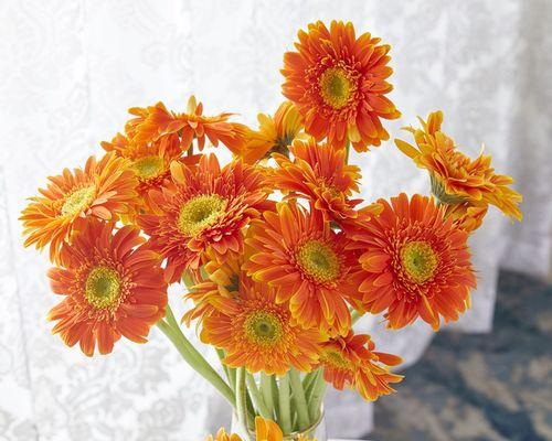 扶郎寓意——关于传统文化中的美好寄托（解读扶郎）