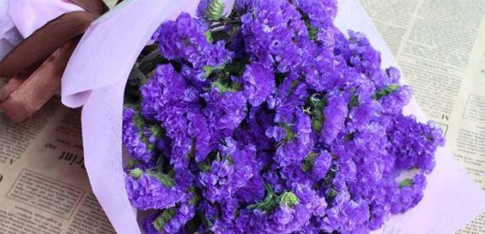 勿忘我花的寓意与象征（探索勿忘我花的深意）