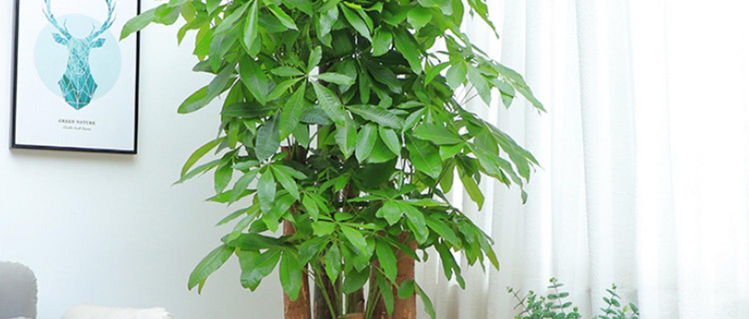 美丽寓意（打造宜人环境）