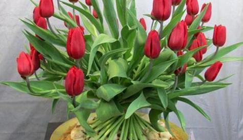 百合怎么保存时间长？有效延长百合花期的方法是什么？