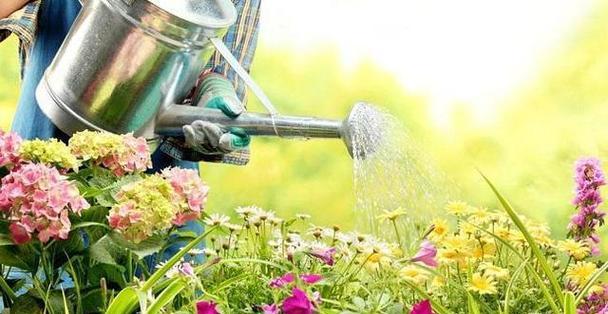 复合肥能浇花吗？使用复合肥的正确方法和注意事项是什么？